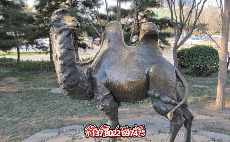 創(chuàng)意大型玻璃鋼駱駝雕塑,在草地上擺放,一眼回頭 創(chuàng)意大型玻璃鋼駱駝雕塑,在草地上擺放,一眼回頭